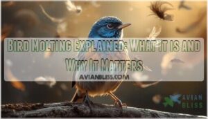 bird molting bird molting