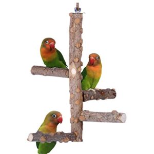 Bird Perch Nature Wood Stand B07P8LG8YS