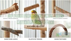 bird perches for small birds bird perches for small birds