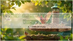bird seed mixes for backyard bird watching bird seed mixes for backyard bird watching