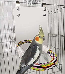 Bird Stand Rope Perch with B07ZQ57ZFL