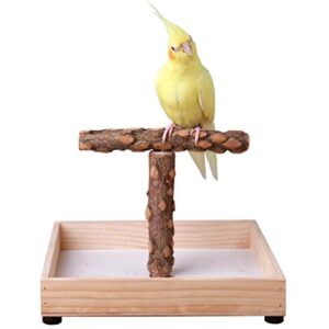 Bird Stand Tabletop,Portable Tee Stand, B07ZRB3X9F