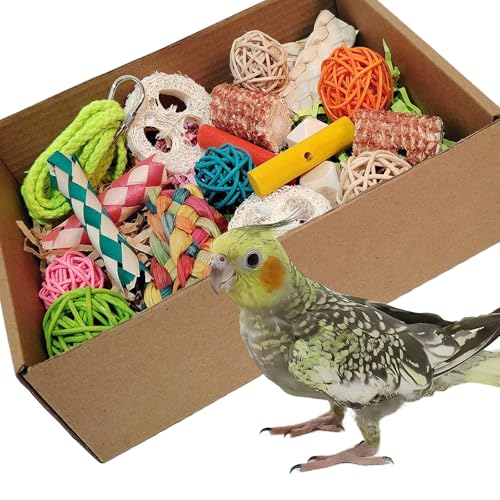 bird toys,Colorful Parrot Foraging and