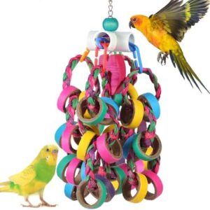 Bird Toys Conure Toys,Bird Parrot B0D9JXPWH2
