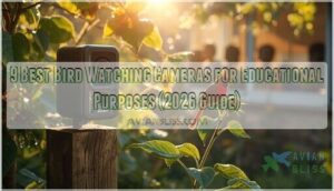 bird watching cameras for educational purposes bird watching cameras for educational purposes