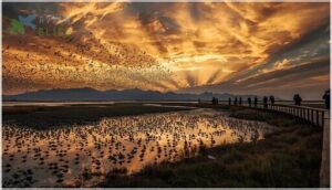 birdwatching hotspots along migration routes birdwatching hotspots along migration routes