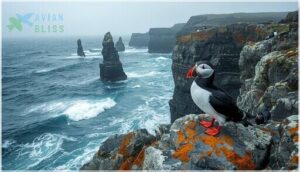 black guillemot habitat and range black guillemot habitat and range