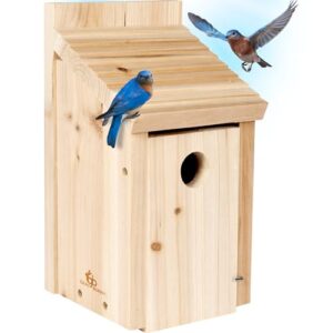 Bluebird Houses for Outside B07ZS4F1DG