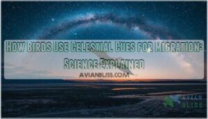 celestial cues for bird migration celestial cues for bird migration