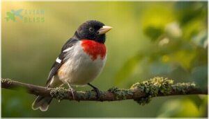 coloration and markings coloration and markings