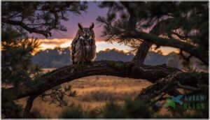 common tree and perch selections common tree and perch selections