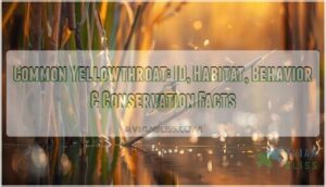 common yellowthroat common yellowthroat