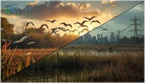 conservation challenges for migratory birds conservation challenges for migratory birds