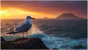 conservation status and challenges conservation status and challenges