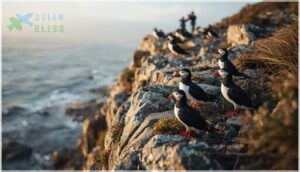 conservation status and population trends conservation status and population trends