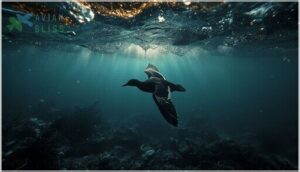 conservation status and threats conservation status and threats