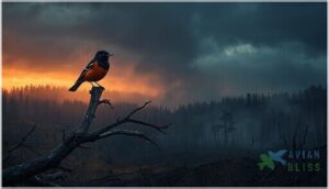 conservation status and threats conservation status and threats