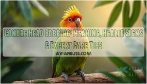 conure head bobbing conure head bobbing