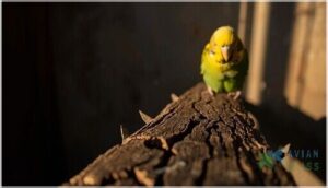 cracks, splinters, and bite marks cracks, splinters, and bite marks