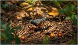 diet and foraging behavior diet and foraging behavior