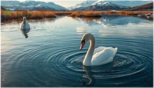 diet, foraging, and behavior diet, foraging, and behavior