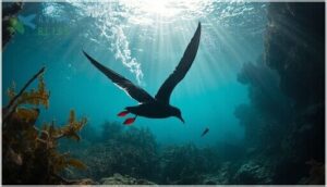 diet, foraging, and behavior diet, foraging, and behavior