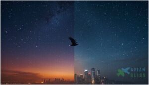 disruption of celestial navigation cues disruption of celestial navigation cues