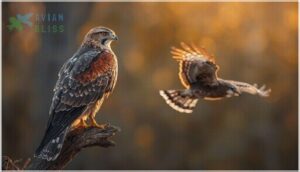 distinctive field marks distinctive field marks