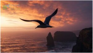 distinctive flight silhouette distinctive flight silhouette