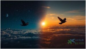 diurnal and nocturnal migration patterns diurnal and nocturnal migration patterns