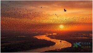 do different species of birds migrate together do different species of birds migrate together