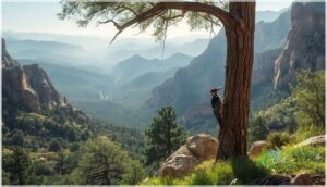 elevation and specific hotspots elevation and specific hotspots