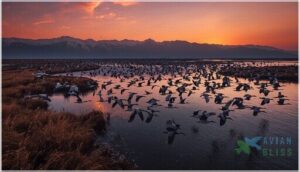 european and asian routes european and asian routes