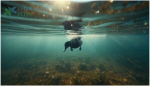 feeding behavior and diet feeding behavior and diet