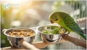 feeding dishes for parakeets feeding dishes for parakeets