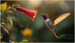 feeding habits and diet feeding habits and diet