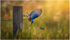 foraging techniques for insects foraging techniques for insects