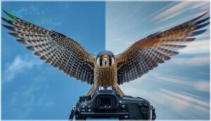 freezing vs. blurring wing motion freezing vs. blurring wing motion