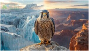 global habitat and distribution global habitat and distribution