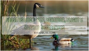 goose vs duck goose vs duck