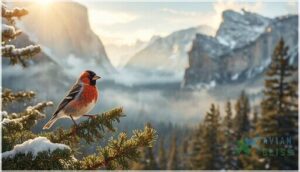 habitat and geographic distribution habitat and geographic distribution