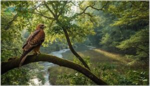 habitat and geographic range habitat and geographic range