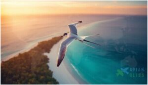 habitat and global distribution habitat and global distribution