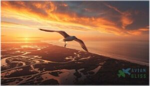 habitat, range, and migration habitat, range, and migration