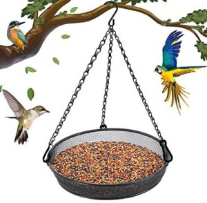 Hanging Bird Feeder, Birdfeeder Hanging B0BVR8FYZD