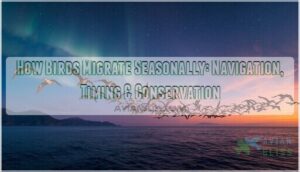 how birds migrate seasonally