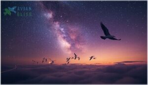 how do birds navigate during migration how do birds navigate during migration