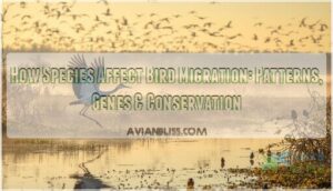 how species affect bird migration how species affect bird migration