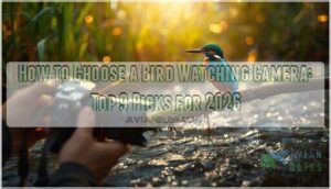 how to choose a bird watching camera how to choose a bird watching camera