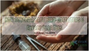 how to feed a baby bird how to feed a baby bird